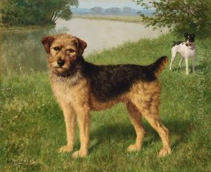 Zwei Terrier