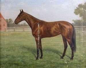 Pferdebildnis Bedelia Todd by Heinrich Sperling