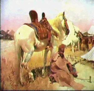 A Bedouin Encampment