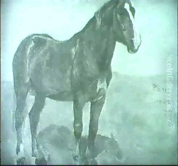 "pan" Machtiger Brauner Hengst Auf Der Weide - view 1
