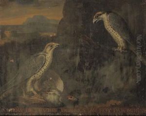 Une Buse De Laponie (+ 3 Others, Various Sizes; 4 Works) by Nicolas Spheyman