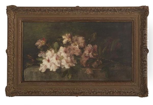 Spray Of Pale Pink Flowers - view 1