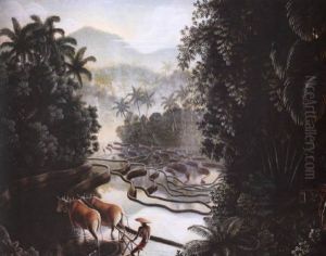Sawahlandschaft Mit Gunung Agung