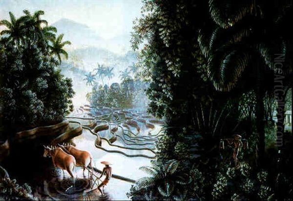 Sawahlandschaft Mit Gunung Agung - view 1