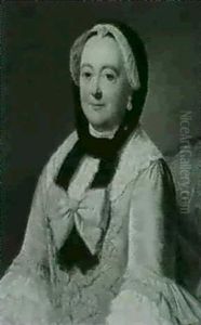 Portrait Of A Lady by Guillaume Jean Joseph de Spinny