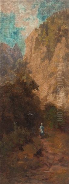 Der Dunkle Weg In Die Schlucht - view 1