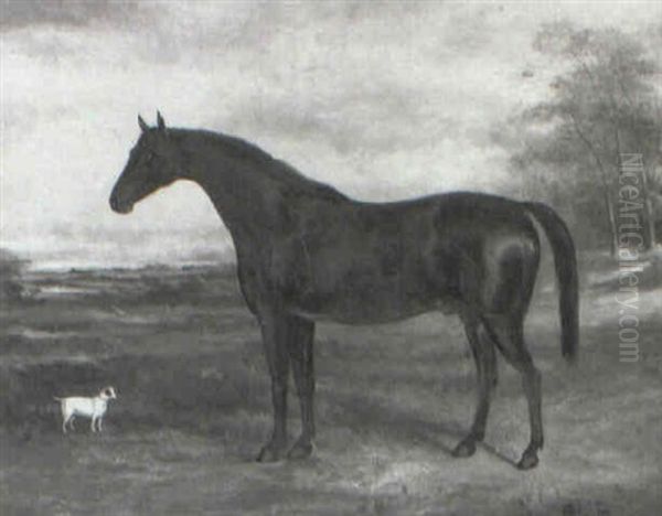 Dark Bay Hunter With A Terrier In A Landscape - view 1