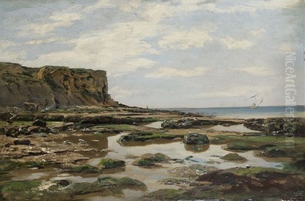 Coast At The English Channel - view 1