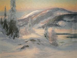 Vinterlandskap by Carl Brandt