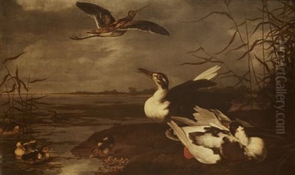 Ducks, Ducklings And Snipe By An Estuary - view 1