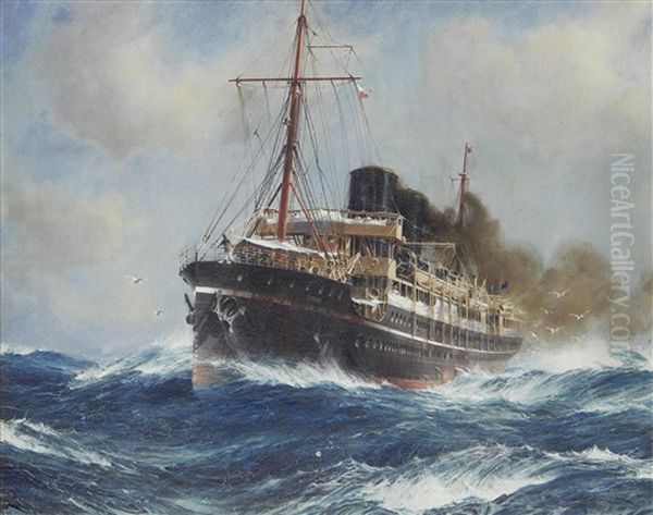 The Steam Ship Osiris - view 1
