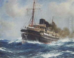The Steam Ship Osiris The Steam Ship Osiris