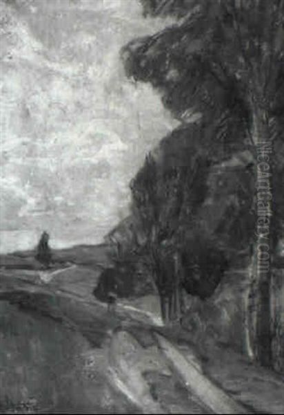 Weg Mit Hohen Birken - view 1