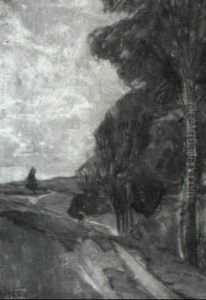 Weg Mit Hohen Birken