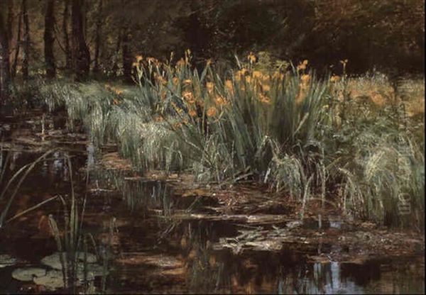 Wasserlilien - view 1