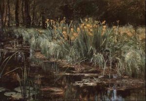 Wasserlilien