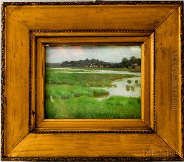 Salt Marshes - view 1