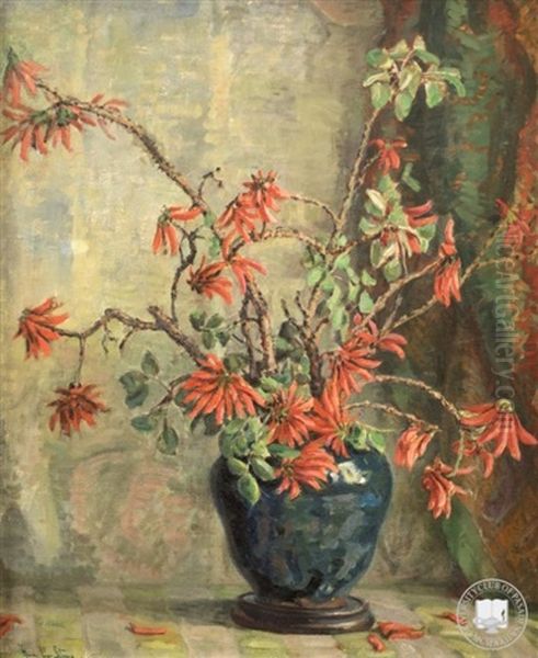 Coral Tree Blossoms - view 1