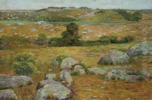 Illinois Landscape