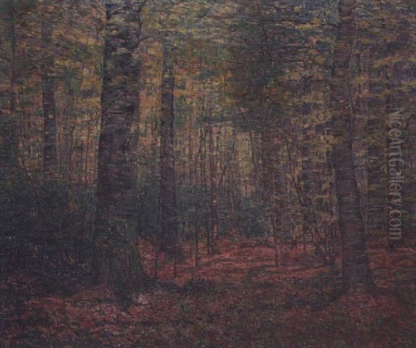 Beech Woods - view 1