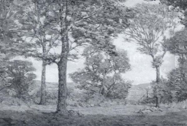 Summer Landscape With Lush Trees - view 1