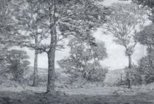 Summer Landscape With Lush Trees by John Franklin Stacey