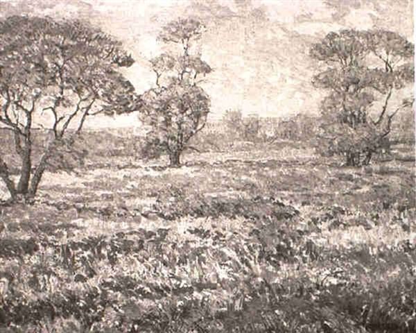 Spring Meadow - view 1