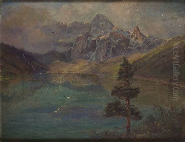 Lake In Tatras - view 1