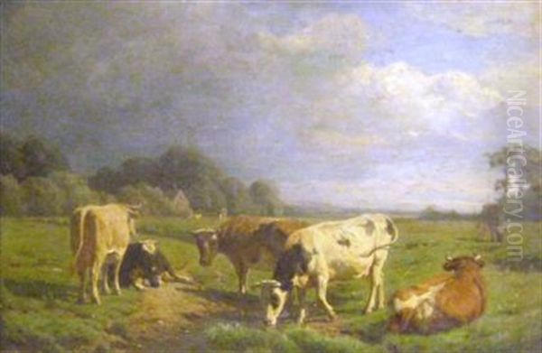 Cows In A Meadow - view 1