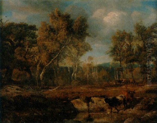 Bewaldete Landschaft Mit Kuhen Am Teich - view 1