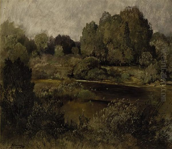 Sommerliche Flusslandschaft - view 1