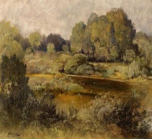 Flusslandschaft (isarauen?)