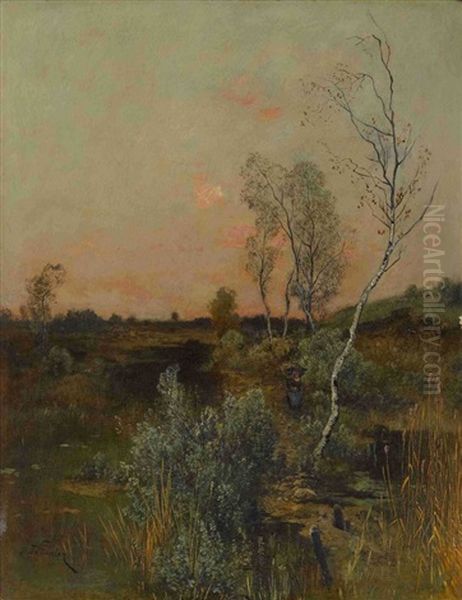 Moorlandschaft Im Abendlicht - view 1