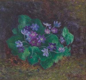 Blaveis by Torleiv Jorgensen Stadskleiv