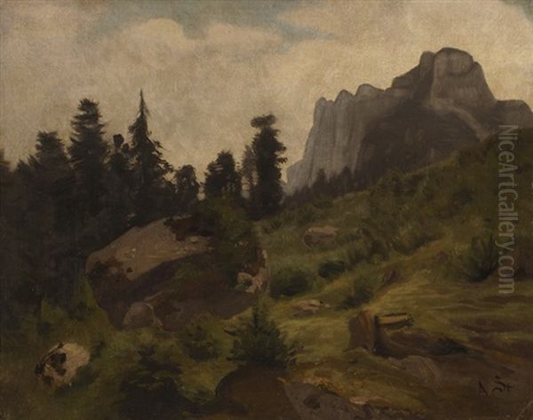 Gebirgslandschaft - view 1