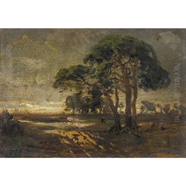 Abendliche Landschaft Mit Baumen - view 1