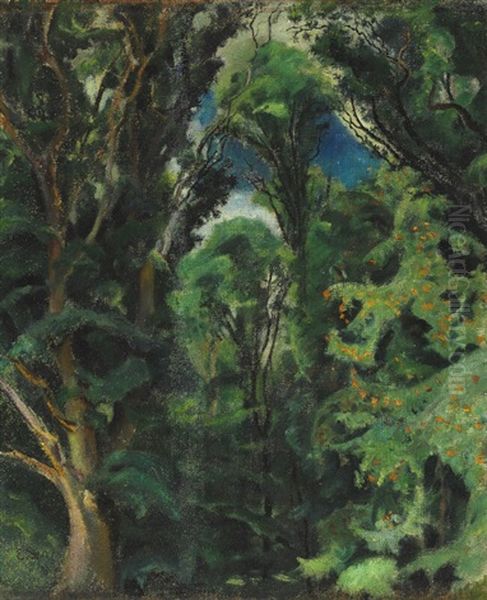 In The Forest - view 1