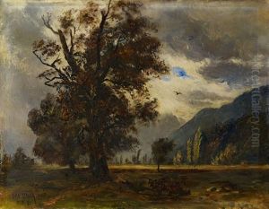 Bei Niederurnen by Balz Staeger