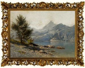 Sonnige Uferpartie Am Walensee Mit Blick Zum Murtschenstock