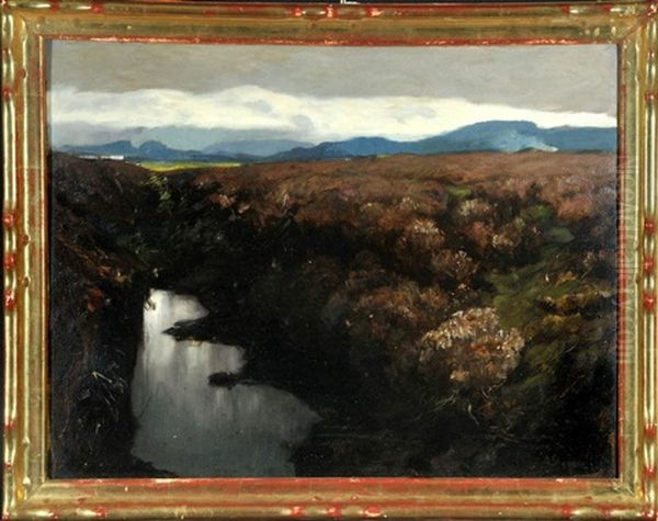 Sumpflandschaft Mit Bergen Im Hintergrund - view 1