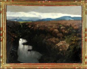 Sumpflandschaft Mit Bergen Im Hintergrund by Albert Stagura