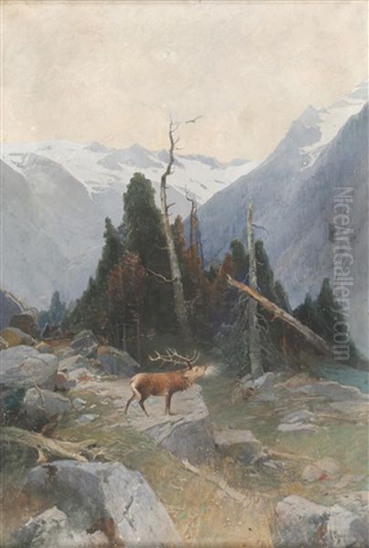 Gebirgsweg Mit Rohrendem Hirsch - view 1