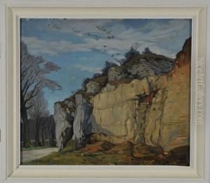Felsige Landschaft Mit Vogeln