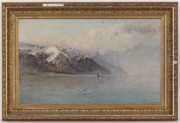 Marine - view 1