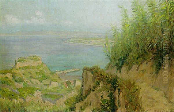 An Extensive Coastal Landscape - view 1