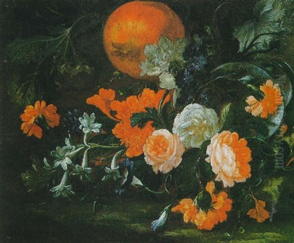 Natura Morta - view 1