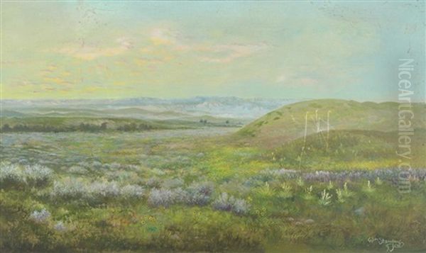 Sage Brush, Montana (half Point) - view 1