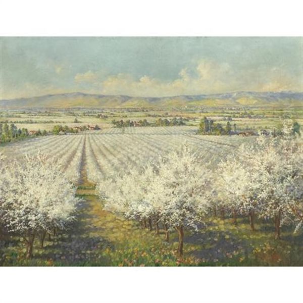 A View Of Blossom Valley With The City Of San Jose In The Distance - view 1