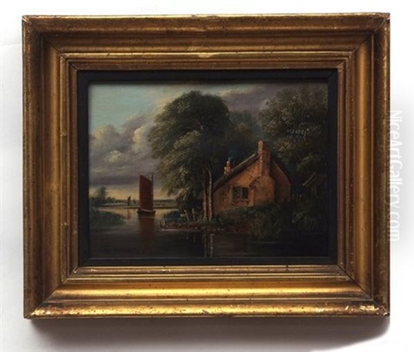 View On The Broads With Wherry Passing A Cottage - view 1