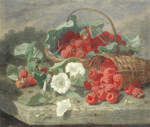 Still Life Of Raspberries, Cabbage Leaves & Convolvulus - view 1